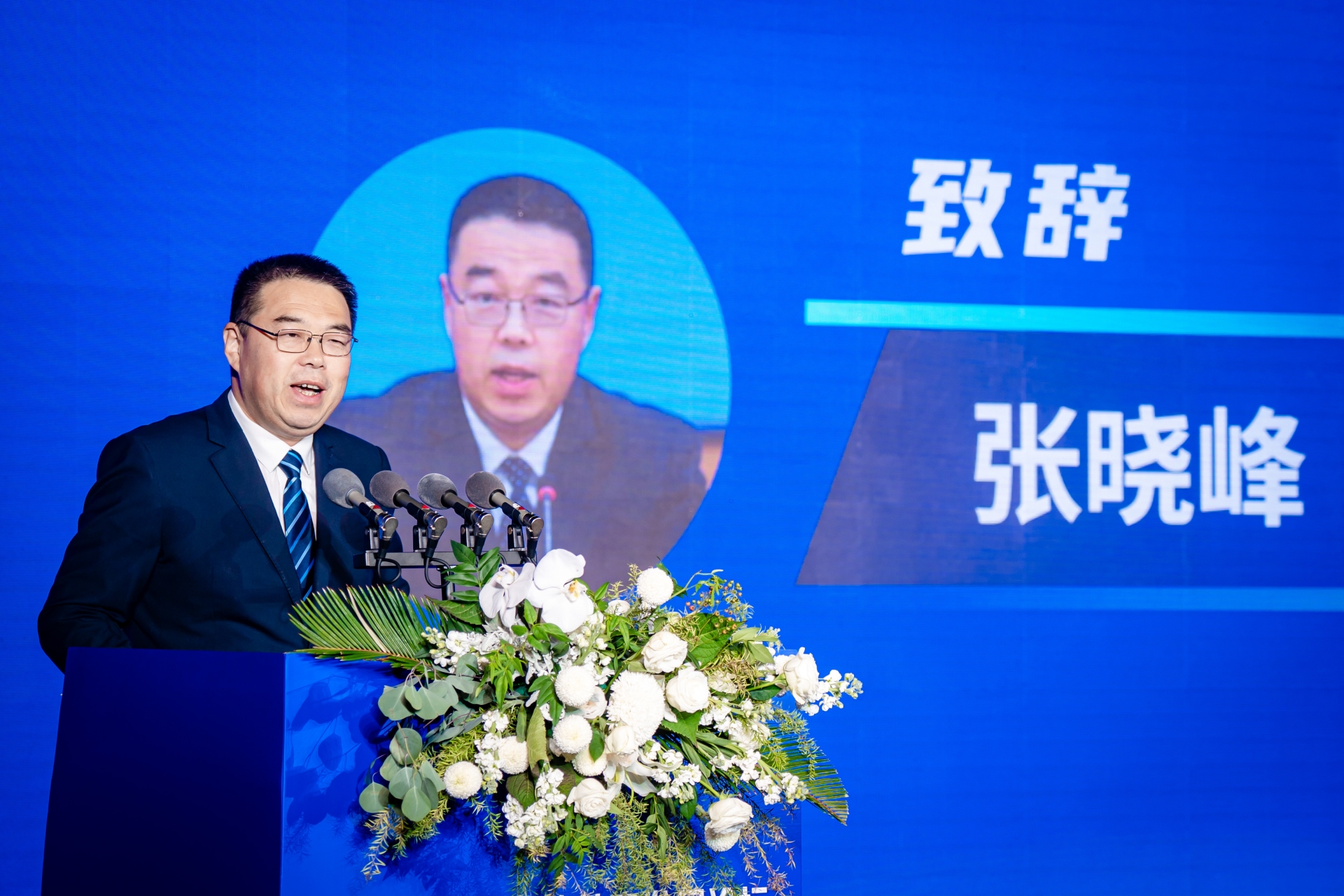 张晓峰.jpg